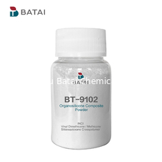 La polvere di silicone cosmetico BT-9102 KSP 101 fornisce un effetto di controllo dell'olio in polvere sfusa