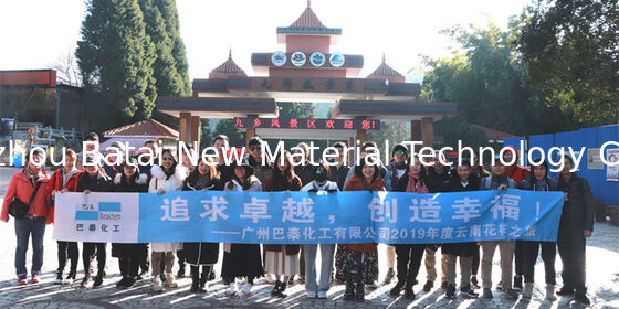 Agente di diffusione della luce in polvere bianca