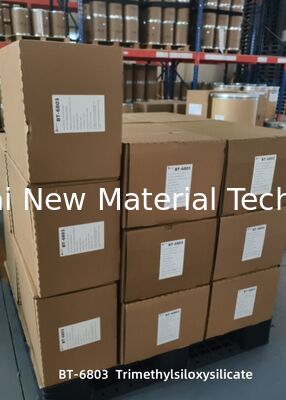 Soluzione di protezione solare ad alte prestazioni e di lunga durata: Trimetilsiloxisilicato TMS in polvere agente focalizzatore morbido